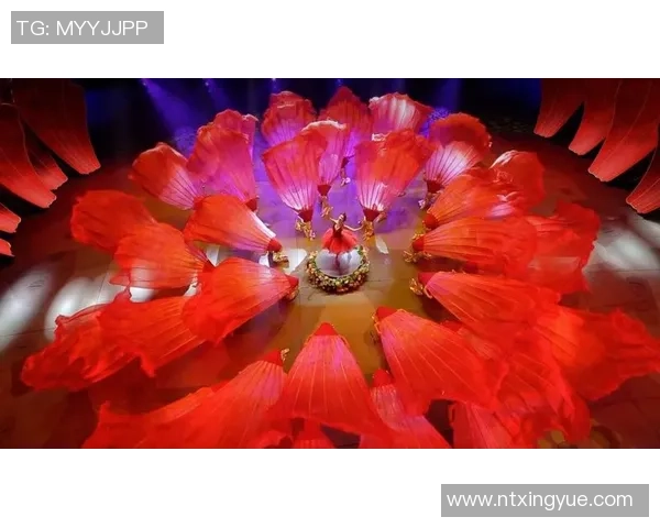 那些曾让世界惊艳却短暂绽放的足球昙花一现之星